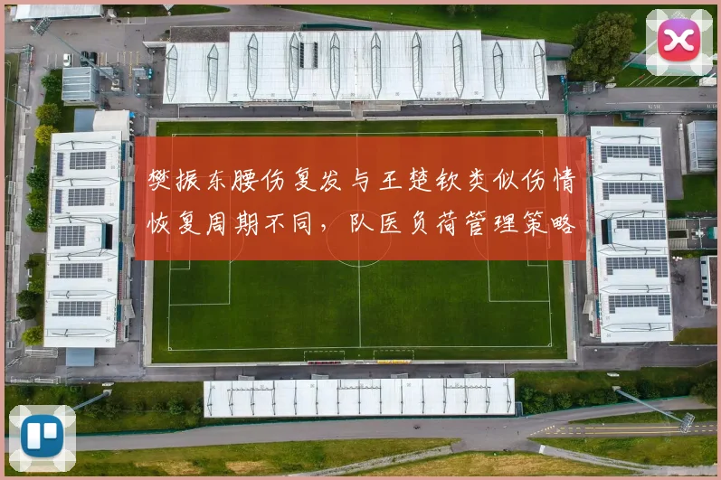 樊振东腰伤复发与王楚钦类似伤情恢复周期不同,队医负荷管理策略遭球迷炮轰